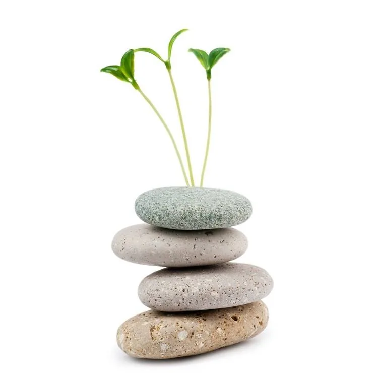 Tips To Keep Bugs Out of Your Air Conditioner